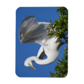 VS, Florida, St. Augustine, Egret Magneet (Verticaal)