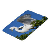 VS, Florida, St. Augustine, Egret Magneet (Linkerzijde)