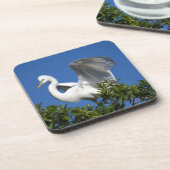 VS, Florida, St. Augustine, Egret Onderzetter (Linkerzijde)