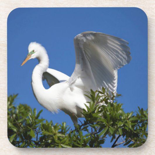 VS, Florida, St. Augustine, Egret Onderzetter (Voorkant)