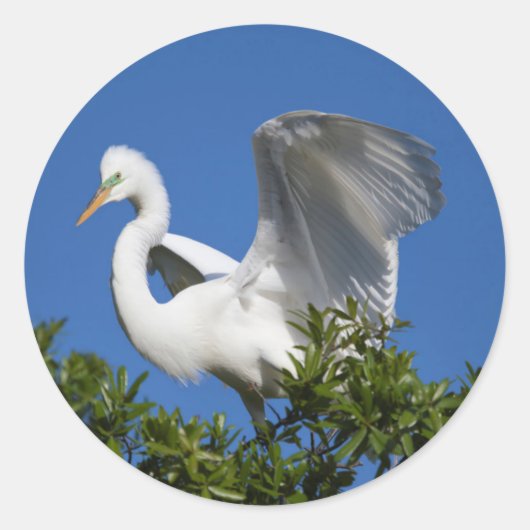 VS, Florida, St. Augustine, Egret Ronde Sticker (Voorkant)