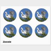 VS, Florida, St. Augustine, Egret Ronde Sticker (Vel)