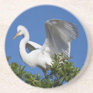 VS, Florida, St. Augustine, Egret Zandsteen Onderzetter