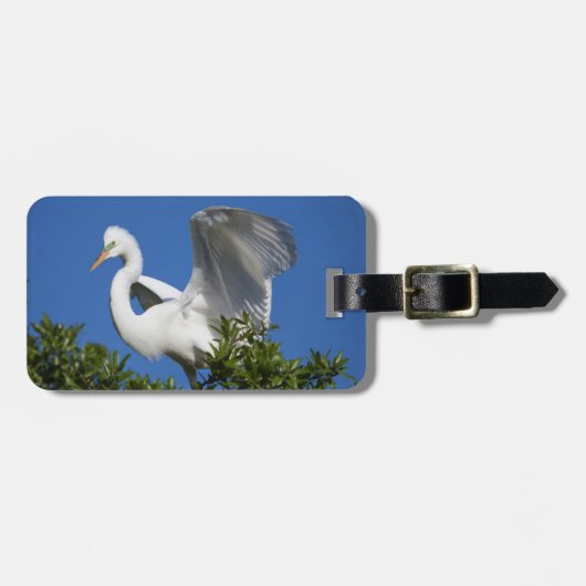 VS, Florida, St. Augustine, Zilverreiger Bagagelabel (Voorkant horizontaal)