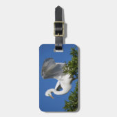 VS, Florida, St. Augustine, Zilverreiger Bagagelabel (Voorkant verticaal)