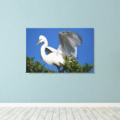 VS, Florida, St. Augustine, Zilverreiger Canvas Afdruk (Insitu (Houten vloer))