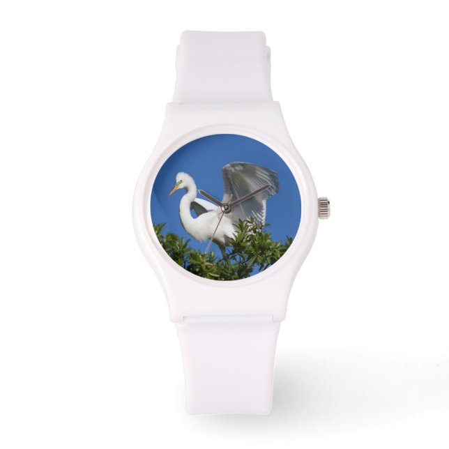 VS, Florida, St. Augustine, Zilverreiger Horloge (Voorkant)