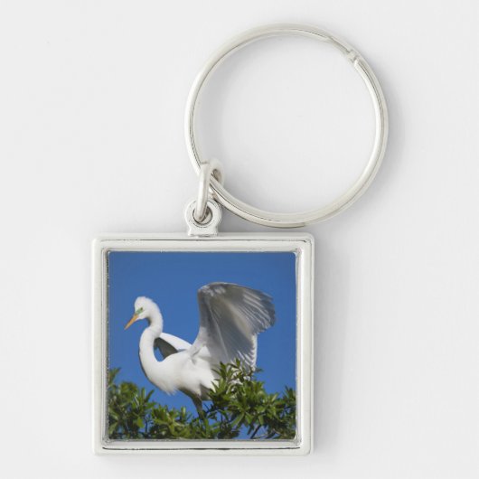 VS, Florida, St. Augustine, Zilverreiger Sleutelhanger (Voorkant)