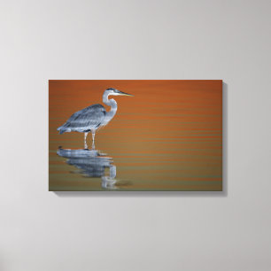 VS, Florida, St. Petersburg, Fort De Soto Canvas Afdruk