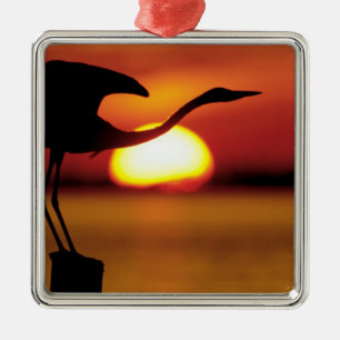 VS, Florida, St. Petersburg, Fort De Soto Metalen Ornament