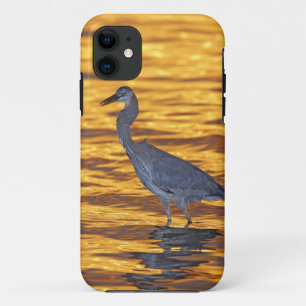 VS, Florida, St. Petersburg, Fort De Soto Park. Case-Mate iPhone Case