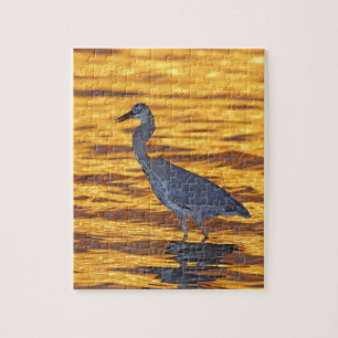 VS, Florida, St. Petersburg, Fort De Soto Park. Legpuzzel