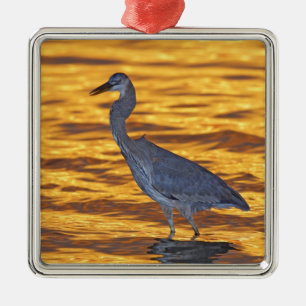 VS, Florida, St. Petersburg, Fort De Soto Park. Metalen Ornament
