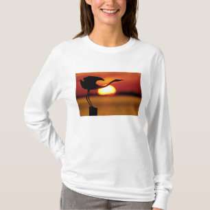 VS, Florida, St. Petersburg, Fort De Soto T-shirt