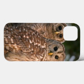 VS, Florida, Viera Wetlands. Drie gebaarde Case-Mate iPhone Case (Achterkant (horizontaal))