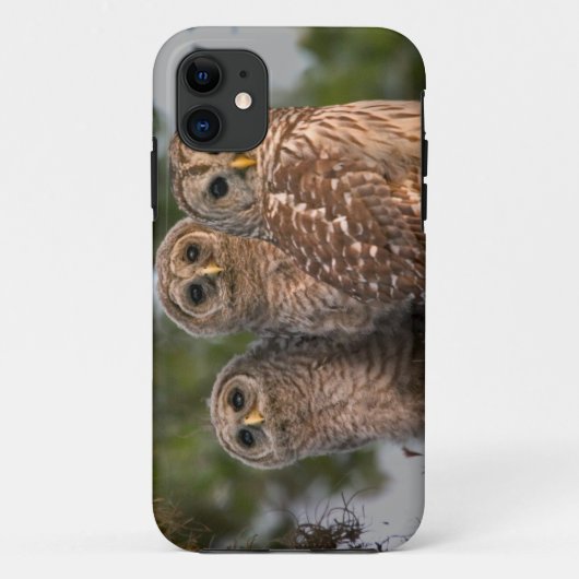 VS, Florida, Viera Wetlands. Drie gebandeerde Case-Mate iPhone Case (Achterkant)