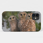 VS, Florida, Viera Wetlands. Drie gebandeerde Case-Mate iPhone Case (Achterkant (horizontaal))