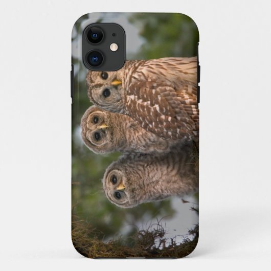 VS, Florida, Viera Wetlands. Drie gebarende Case-Mate iPhone Case (Achterkant)