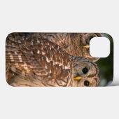 VS, Florida, Viera Wetlands. Drie gebarende Case-Mate iPhone Case (Achterkant (horizontaal))