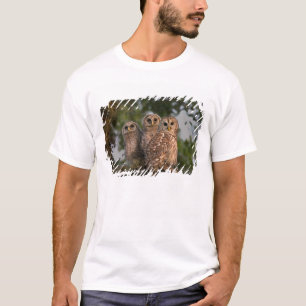 VS, Florida, Viera Wetlands. Drie gebarende T-shirt
