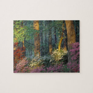 VS, Georgia, Callaway Gardens, Azaleastruik. Legpuzzel