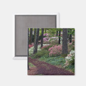VS, Georgia, Callaway Gardens. Pad Magneet (Voorkant / Achterkant)