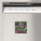 VS, Georgia, Callaway Gardens. Pad Magneet (Insitu (Vaatwasser))