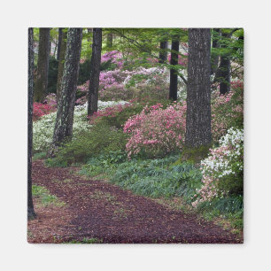 VS, Georgia, Callaway Gardens. Pad Magneet