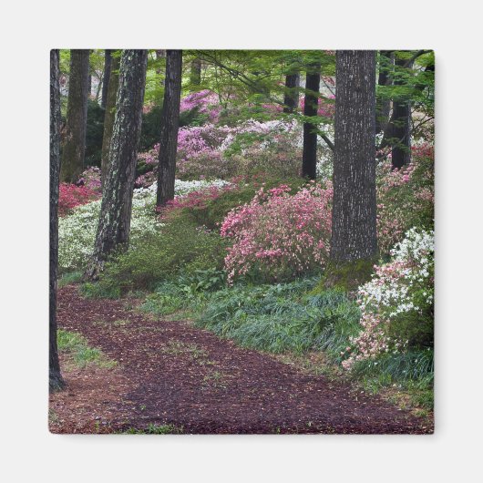 VS, Georgia, Callaway Gardens. Pad Magneet (Voorkant)