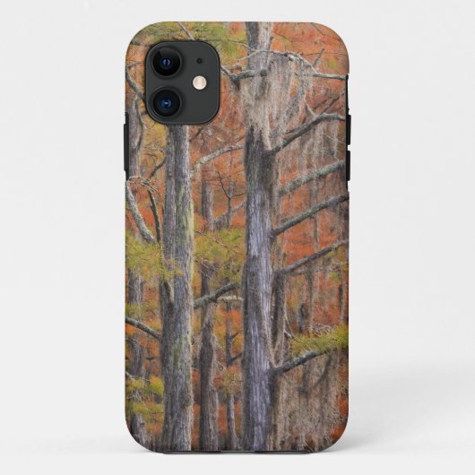 VS, Georgia, George Smith State Park, cipres Case-Mate iPhone Case (Achterkant)