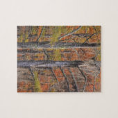 VS, Georgia, George Smith State Park, Cipres Legpuzzel (Horizontaal)
