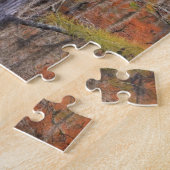 VS, Georgia, George Smith State Park, Cipres Legpuzzel (Zijkant)