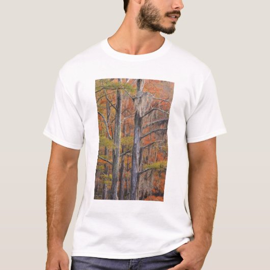 VS, Georgia, George Smith State Park, cipres T-shirt (Voorkant)