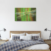 VS, Georgia. Groene glazenmaker op riet Canvas Afdruk (Insitu (Slaapkamer))