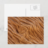 VS, Georgia, Jekyll Island, Abstract Briefkaart (Voorkant / Achterkant)