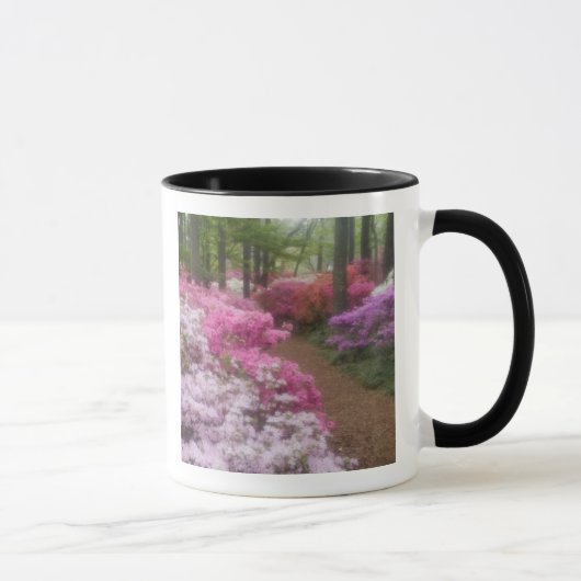 VS; Georgia; Pine Mountain. Azalea's bij 2 Mok (Rechts)