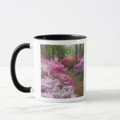 VS; Georgia; Pine Mountain. Azalea's bij 2 Mok (Links)