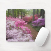 VS; Georgia; Pine Mountain. Azalea's bij 2 Muismat (Met muis)