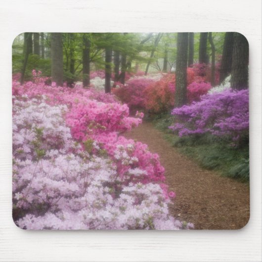 VS; Georgia; Pine Mountain. Azalea's bij 2 Muismat (Voorkant)