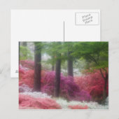VS; Georgia; Pine mountain. Azalea's bij Briefkaart (Voorkant / Achterkant)