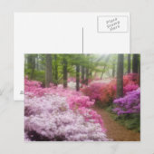 VS; Georgia; Pine Mountain. Azalea's bij Briefkaart (Voorkant / Achterkant)