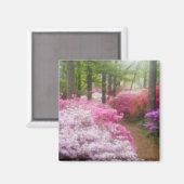 VS; Georgia; Pine Mountain. Azalea's bij Magneet (Voorkant / Achterkant)
