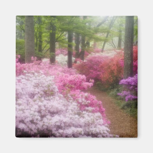 VS; Georgia; Pine Mountain. Azalea's bij Magneet (Voorkant)