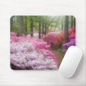 VS; Georgia; Pine Mountain. Azalea's bij Muismat (Met muis)