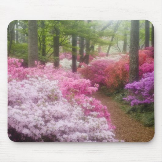 VS; Georgia; Pine Mountain. Azalea's bij Muismat (Voorkant)