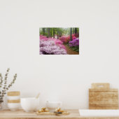 VS; Georgia; Pine Mountain. Azalea's bij Poster (Keuken)
