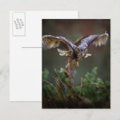 VS, Georgia, Pine Mountain, Callaway Gardens. Briefkaart (Voorkant / Achterkant)