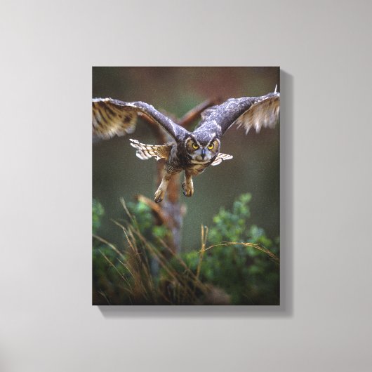 VS, Georgia, Pine Mountain, Callaway Gardens. Canvas Afdruk (Voorkant)