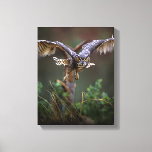 VS, Georgia, Pine Mountain, Callaway Gardens. Canvas Afdruk