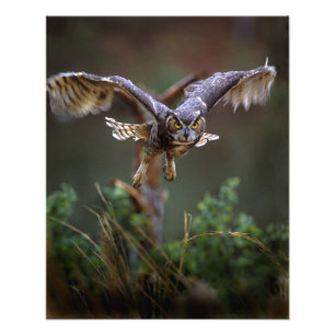 VS, Georgia, Pine Mountain, Callaway Gardens. Foto Afdruk